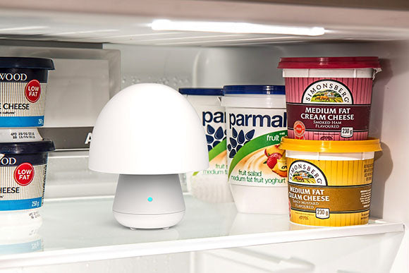 きのこ形冷蔵庫除菌脱臭機 【操作簡単・フル充電で2週間使用可能・カビ対策可能】